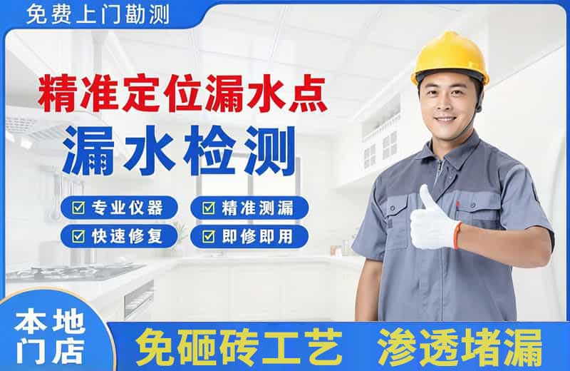龙安精准测漏点